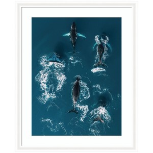 Kate and Laurel Framed Art School of Humpback Whales in the Blue Ocean by Michael Schauer, 35x43, Oliver White Narrow - 1 of 4