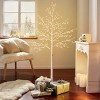 6ft Lighted Indoor & Outdoor Birch Tree, Christmas Holiday Decorations, Artificial Tree with LED Lights, Christmas Tree - 4 of 4