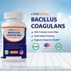 Bacillus Coagulans 5 Billion CFU | 60 Vegetable Capsules - 3 of 4