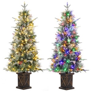 Christmas Tree with Lights - 1 of 4
