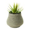 Storied Home Handwoven Seagrass Basket Storage, Grey and Black - 3 of 4