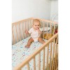 Loulou Lollipop Muslin Fitted Crib Sheet - Breakfast Blue - 3 of 4