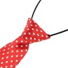 INSPIRE CHIC Pre-tied Elastic Neck Ties - 3 of 4