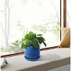 Vynxaria Set of 2 Modern 7" Glossy Red Ceramic Flowerpots for Indoor & Outdoor Use - 3 of 4