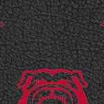 georgia bulldogs uga