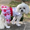 Doggie Design Strawberry Picnic Dog Dress with Matching Leash - image 3 of 4