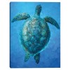 Masterpiece Art Gallery 18"x24" Sea Turtle Serenity Wall Art - 2 of 4
