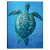 Masterpiece Art Gallery 18"x24" Sea Turtle Serenity Wall Art - image 2 of 4