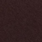coffee bean
