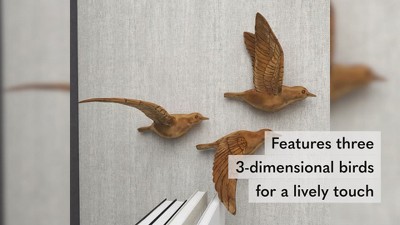 Brown Metallic 3D Sculpted Bird Wall Decor Set