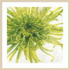 Amanti Art Contemporary Chrysanthemum by Danhui Nai Wood Framed Wall Art Print - 1 of 4