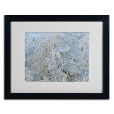 Trademark Fine Art -Kurt Shaffer 'Frost Pattern #5' Matted Framed Art