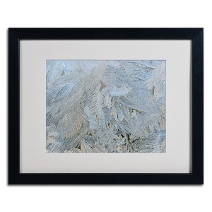 Trademark Fine Art -Kurt Shaffer 'Frost Pattern #5' Matted Framed Art - 1 of 4
