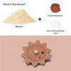 Plantoys| Gear & Puzzle - 2 of 4