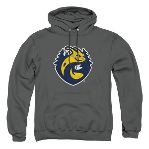 University of California-Santa Cruz Official Distressed Primary Logo Adult Pull-Over Hoodie - 1 of 4