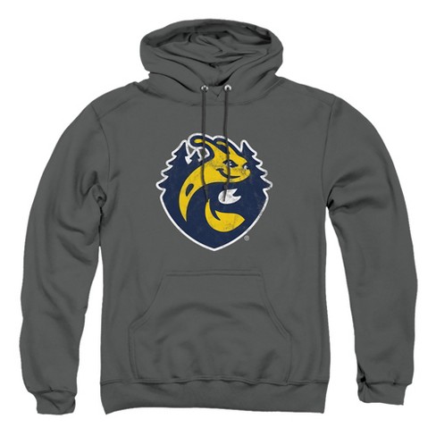 University of California-Santa Cruz Official Distressed Primary Logo Unisex Adult Pull-Over Hoodie, Charcoal - image 1 of 4