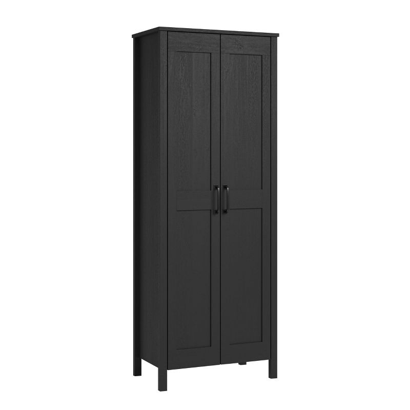 2 Door Storage Cabinet - Sauder, 1 of 8