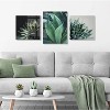 23" x 23" Radical Succulent by Emiko and Mark Franzen of F2 Images Floating Acrylic Unframed Wall Decor - Kate & Laurel All Things Decor - image 4 of 4