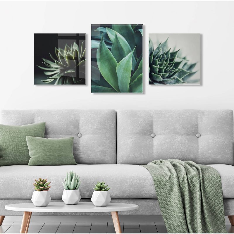 23&#34; x 23&#34; Radical Succulent by Emiko and Mark Franzen of F2 Images Floating Acrylic Unframed Wall Decor - Kate &#38; Laurel All Things Decor, 5 of 8