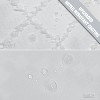 Aoibox White Boho Fabric Shower Curtain with Tassel, Modern Textured Farmhouse Minimalist Design, Tufted Chevron Striped Water Resistant Cloth Curtain - 4 of 4