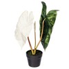 Vickerman Artificial Alocasia Potted Plant - 4 of 4