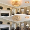 Gulches 20" Rustic Style Bamboo Woven Ceiling Fan with Lights - 3 of 4