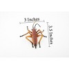 Collectible Wildlife Gifts | Cricket, Hand Painted, Rubber Insect, Realistic Toy Figure, Model,   Educational, Gift,      3"    CH217 BB118 - 3 of 4