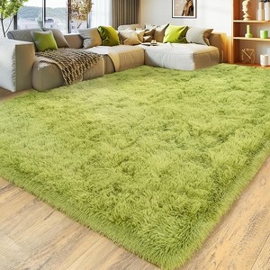 Area Rugs for Living Room Bedroom, Non-Slip Fluffy Soft Shag Carpet for Kids Home Dorm Decor Aesthetic - 1 of 4
