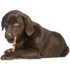 Cadet Chicken & Rawhide Twists (14 Pack) - 2 of 4