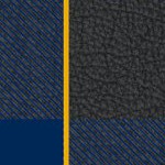 west virginia mountaineers