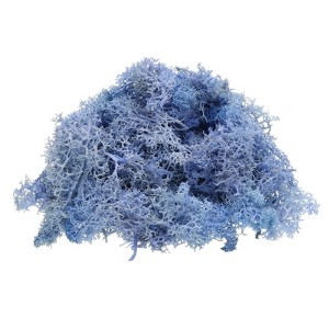 Unique Bargains Decoration Craft Artificial Plants Dried Preserved Reindeer Moss 4 OZ - 1 of 4