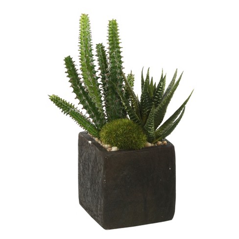 Vickerman 8" Artificial Green Succulent Arrangement, Pack of 2 - image 1 of 3