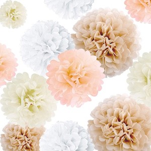 EpiqueOne 20 Piece Tissue Paper Pom Poms Party Kit - Colorful Paper Flower Wall Decorations - White Ivory - 1 of 3