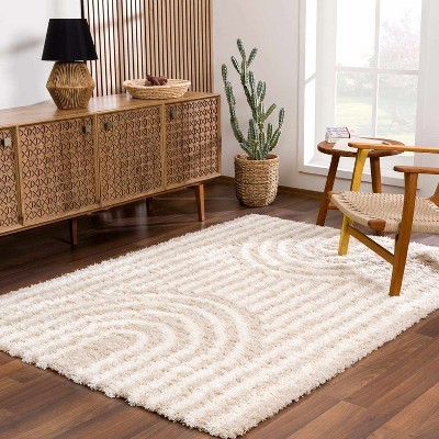 Hauteloom Emmly Shag Area Rug