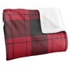 University Of Wisconsinriver Falls Campus Plaid Spirit Silky Touch Super Soft Throw Blanket 50x60 - 3 of 4