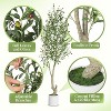 Acekool Artificial Olive Tree with White Planter and Fruit, 5ft/6ft/7ft Indoor Faux Tree, Realistic 1 or 2-Pack for Home or Porch - 3 of 4