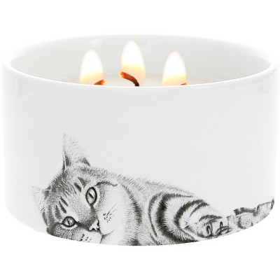 Pavilion Gift Company - Cat - 10 oz - 100% Soy Wax Reveal Triple Wick Candle Scent: Tranquility - Flame Candles