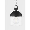 Troy Lighting Zephyr 1 - Light Pendant in  Black Clear Seeded Shade - 4 of 4