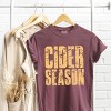 Cider Season Block Distressed - Women's Garment Dyed Graphic T-Shirt - 2 of 4