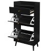 ZHUTA Shoe Cabinet rattan, 2 door 1 drawer cabinet, shoe rack, double layer, suitable for entrance - 2 of 4