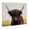 Stupell Industries Black Highland Cow Portrait, 20" x 16" - 3 of 4