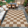 Modern Easy Jute Rug Washable Rug with Non Slip TPR Backing - 3 of 4