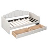 Twin Size Velvet Upholstered Daybed with Trundle/2 Drawers and USB Charging Ports 4Q - ModernLuxe - 4 of 4
