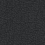 miami marlins 1993-2011