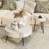 JIONJOY Farmhouse Nesting Coffee Table Set - 2-Piece Round Tables with Stump Pattern - 3 of 4