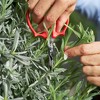 FELCO 420, Herb Bonsai Hydroponic Snip, Ergo Grip, Coated Stainless Steel - 4 of 4