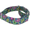 Country Brook Petz 1 1/2 Inch Martingale Dog Collar - Paisley Collection - 4 of 4