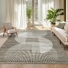 Acekool Modern Geometric Area Rug, Washable Non Slip Low Pile Ultra Thin Stain Resistant Carpet for Living Room Bedroom Dining - 2 of 4