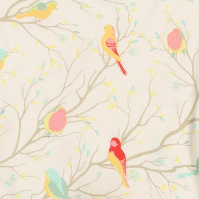 birds