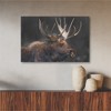 Courtside Market Forest Moose II Gallery-Wrapped Canvas - 2 of 4